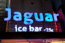 Ice bar - Patong Beach