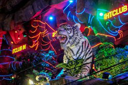 Tiger nightclub