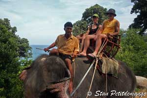 balade en elephant bord de mer Phuket Thailande