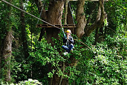 Tyrolienne à l'acrobranche Flying Hanuman - Kathu - Phuket