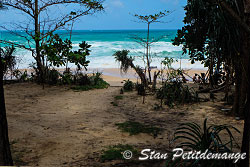 La plage depuis le sous-bois