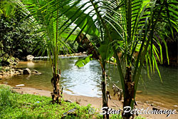 Pause quad aventure au bord de rivière et baignade