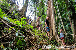 Marche dans la jungle vers chute d'eau - Phang Nga