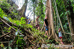 Jungle walk to waterfall - Phang Nga Adventure camp