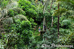 Dbut de la tyrolienne dans la jungle - Camp aventure Phang Nga